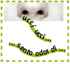 ucci sito.jpg
